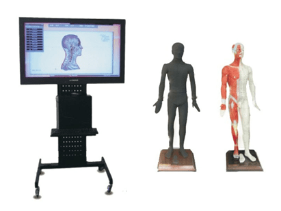42寸多媒體人體針灸穴位交互數(shù)字平臺(tái)（WST-42M）