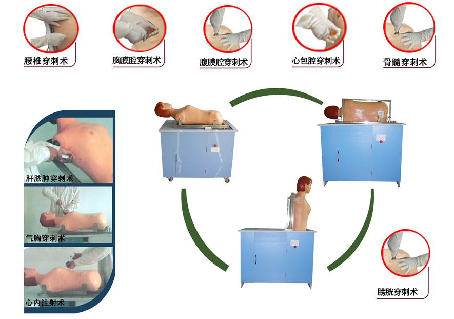 全自動(dòng)多種穿刺叩診電腦訓(xùn)練模型（BIX-C-II）